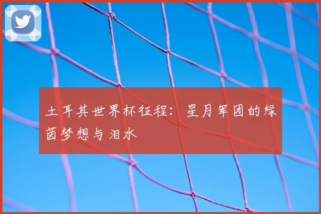 土耳其世界杯征程：星月军团的绿茵梦想与泪水