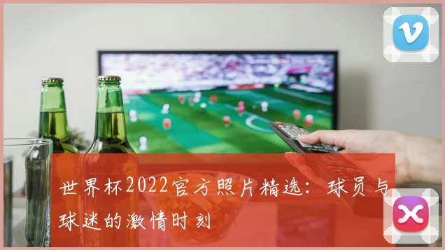 世界杯2022官方照片精选：球员与球迷的激情时刻