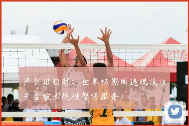 严打进行时：世界杯期间违规投注平台被大规模暂停服务