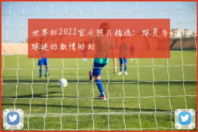 世界杯2022官方照片精选:球员与球迷的激情时刻