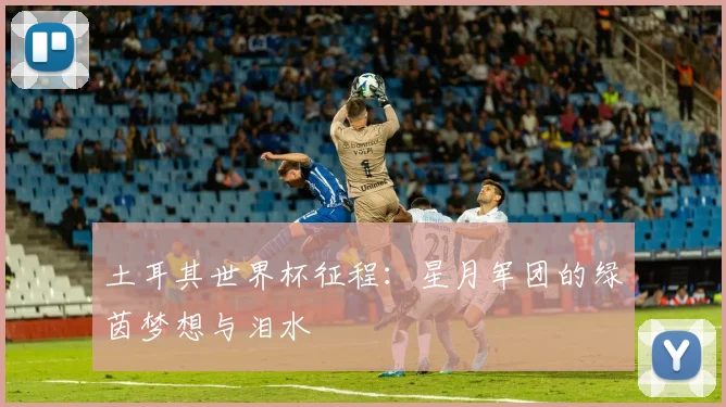土耳其世界杯征程：星月军团的绿茵梦想与泪水