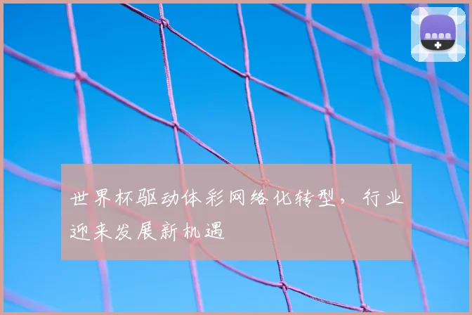世界杯驱动体彩网络化转型，行业迎来发展新机遇